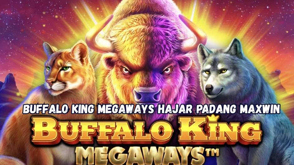Buffalo King Megaways Hajar Padang Maxwin.